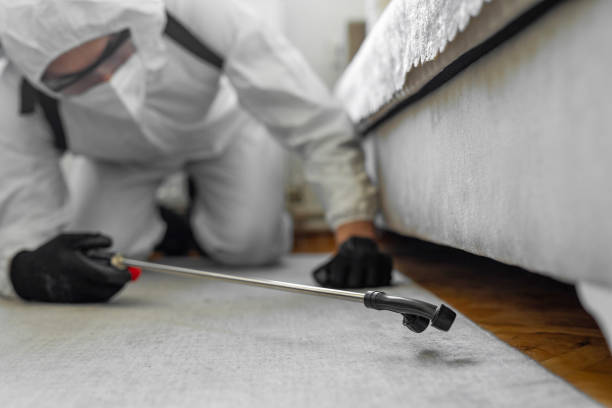 Professional Termite Control technician working in Belle, WV