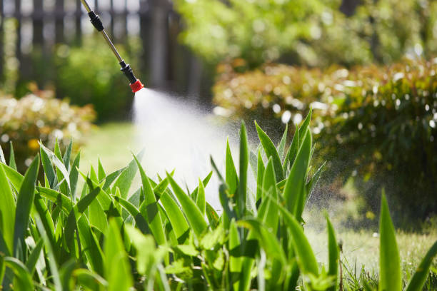 24/7 Emergency Termite Control experts in Belle, WV