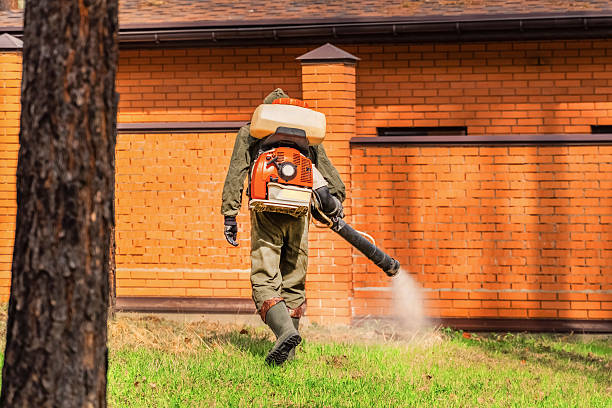 Top rated local Termite Control specialists in Belle, WV
